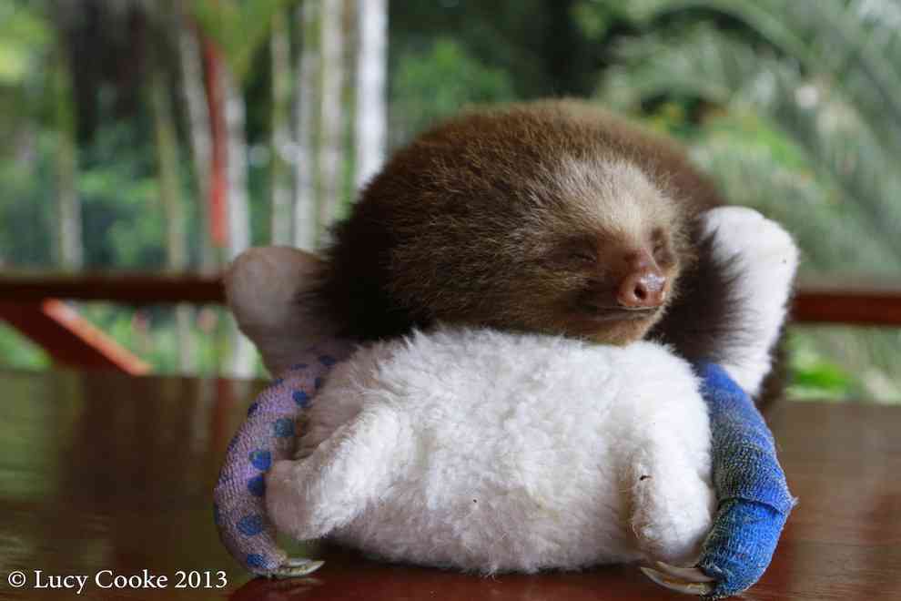 一歩も動かなくても全部できちゃう「禁断のベッド」が話題