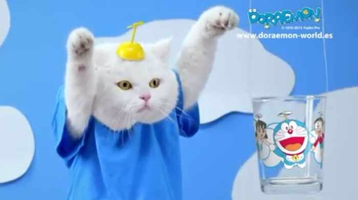 「かぶっても、かぶられても…かわいい！」動物たちの変身した姿いろいろ