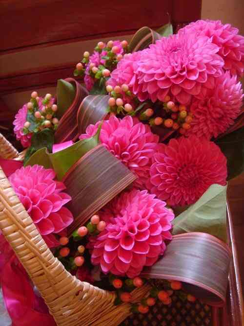 好きな花はなんですか？