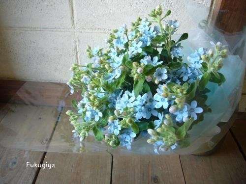 好きな花はなんですか？