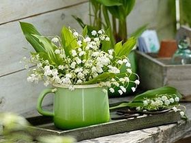 好きな花はなんですか？