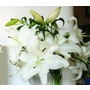 好きな花はなんですか？