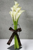 好きな花はなんですか？