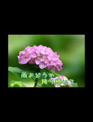 好きな『雨』の曲♪