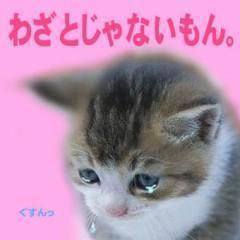 「500円のブラジャーで十分！」 下着も“質より量”の女性が増えている
