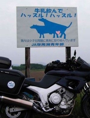 おもしろい標語やポスターを教えてください!