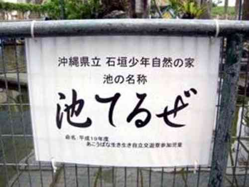 おもしろい標語やポスターを教えてください!