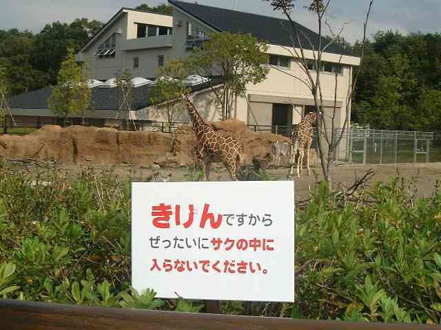 おもしろい標語やポスターを教えてください!