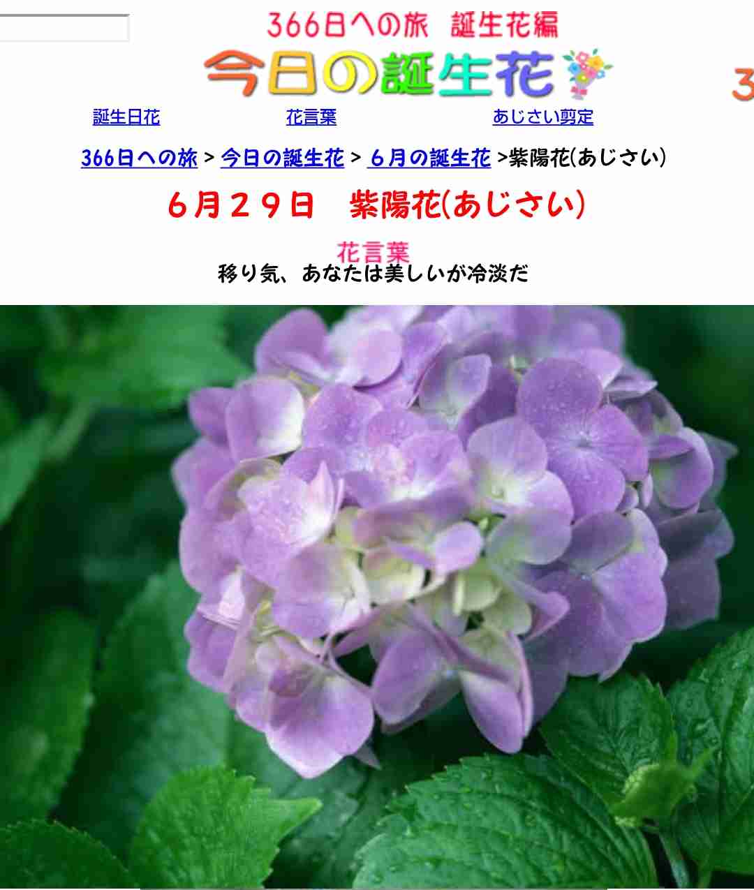 あなたが6月に祝日をつくるとしたら?
