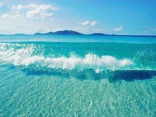 夏らしい画像を、ひたすら貼るトピ！