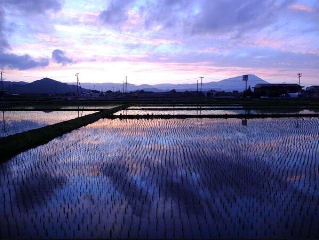 夏らしい画像を、ひたすら貼るトピ！