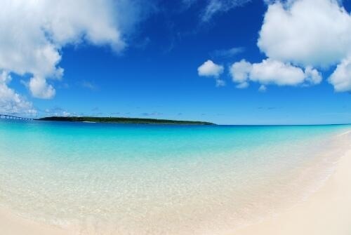 夏らしい画像を、ひたすら貼るトピ！