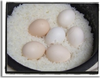 人んちのおにぎり食べられますか?