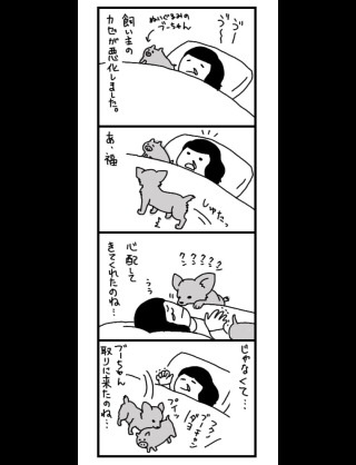 ペットと毎晩一緒に寝てる人