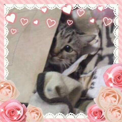 ガルちゃん民女子会