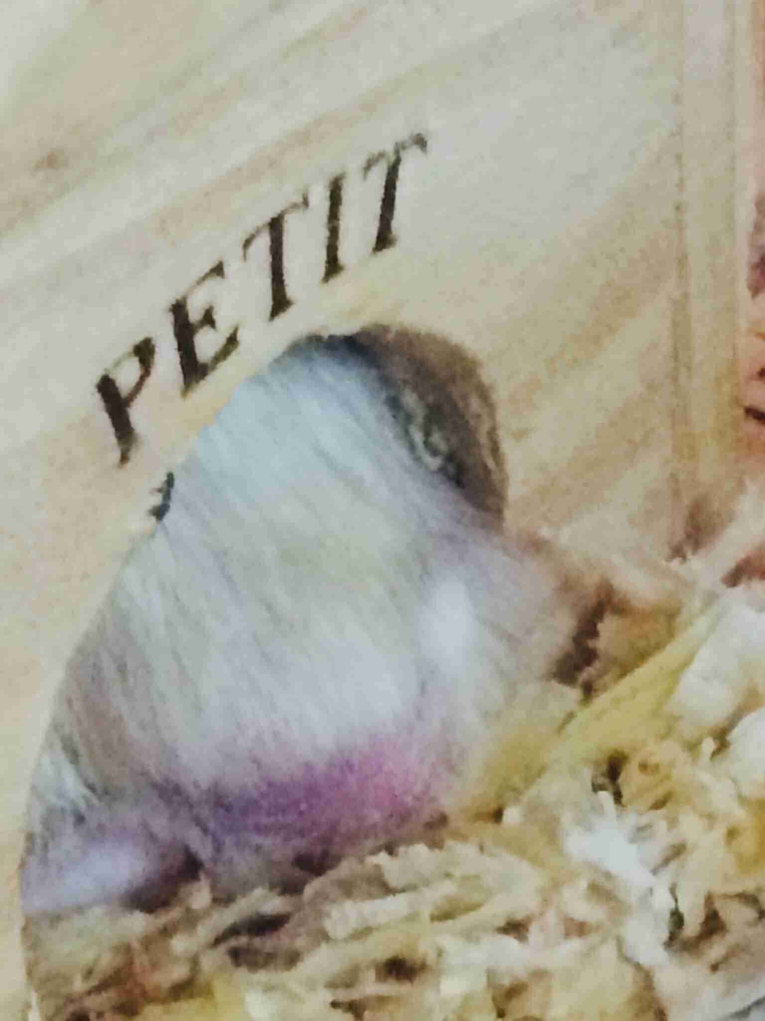 あらゆる物のアップの画像を貼るトピ！