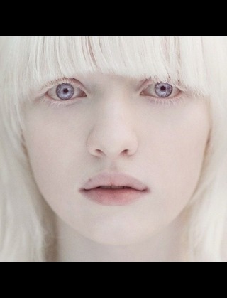 あらゆる物のアップの画像を貼るトピ！