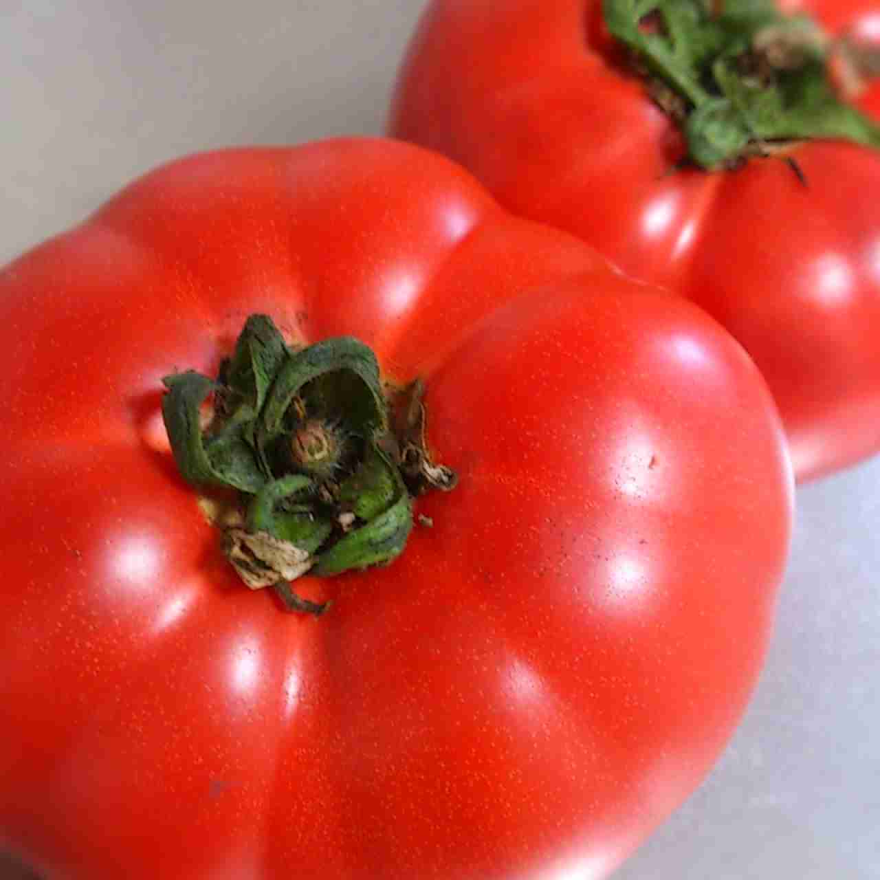 あらゆる物のアップの画像を貼るトピ！