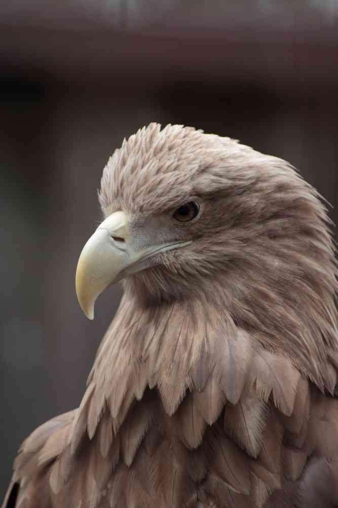 あらゆる物のアップの画像を貼るトピ！