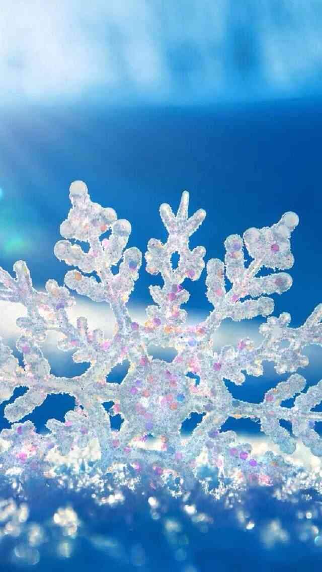 あらゆる物のアップの画像を貼るトピ！