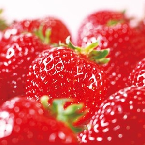 あらゆる物のアップの画像を貼るトピ！