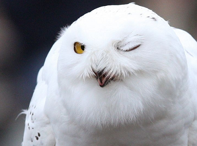 あらゆる物のアップの画像を貼るトピ！