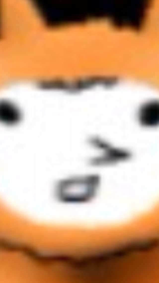 あらゆる物のアップの画像を貼るトピ！