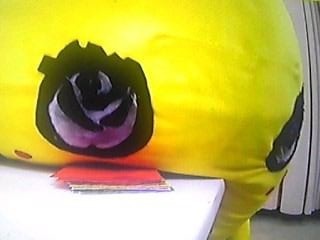 あらゆる物のアップの画像を貼るトピ！