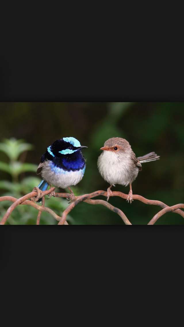 あらゆる物のアップの画像を貼るトピ！