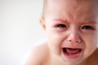 あらゆる物のアップの画像を貼るトピ！