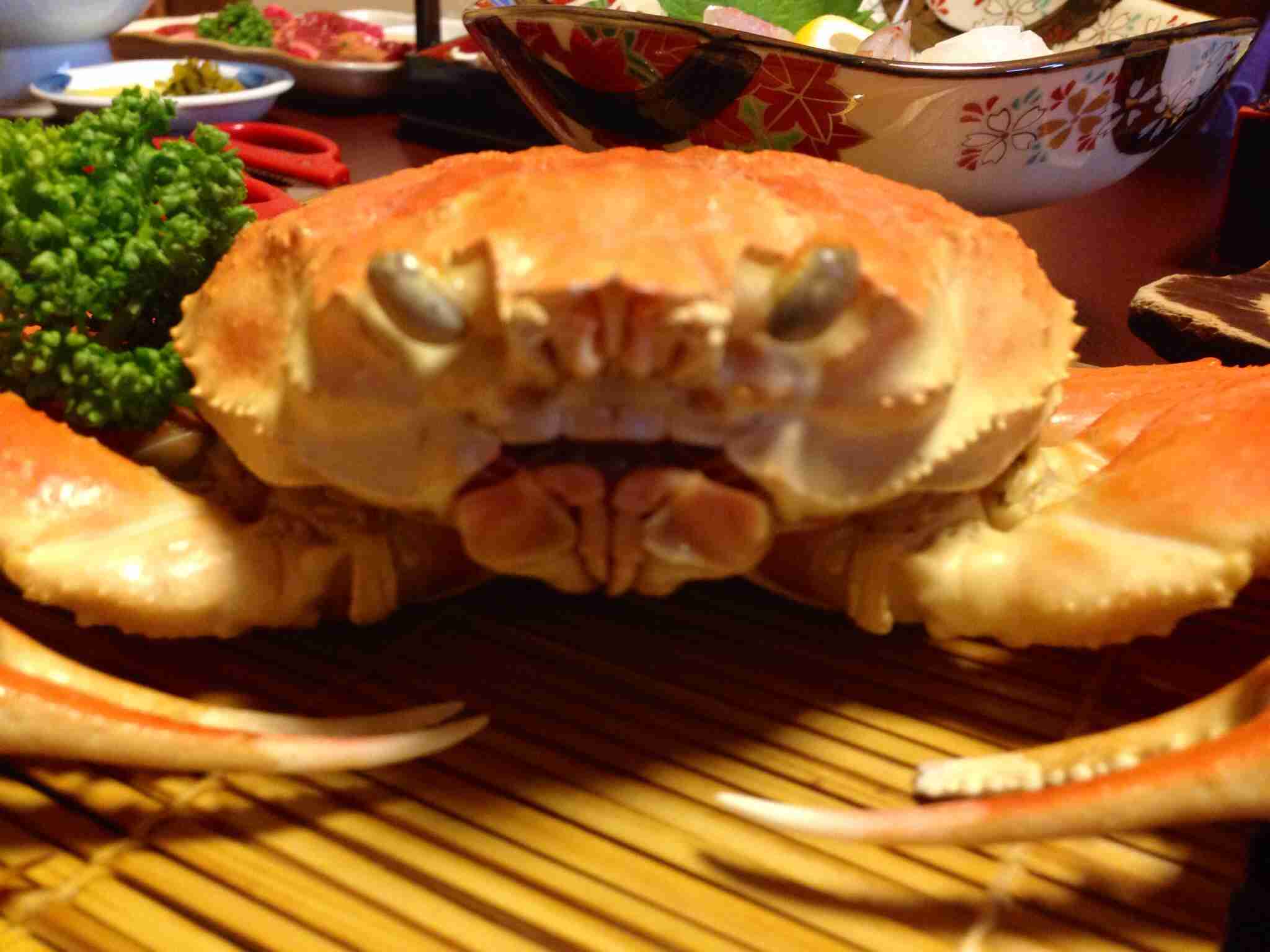 あらゆる物のアップの画像を貼るトピ！