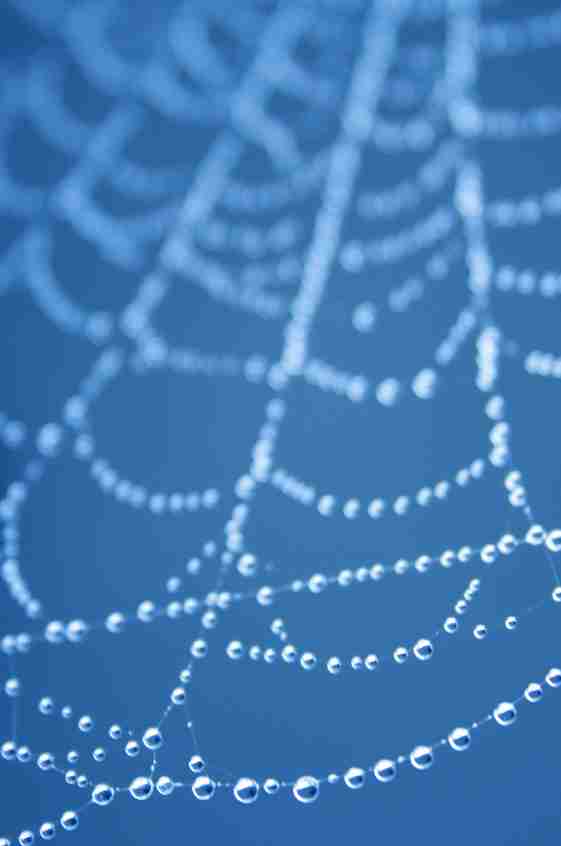 あらゆる物のアップの画像を貼るトピ！