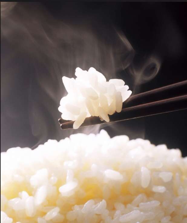 欧米人「今日、炊飯器を買いに行こうと思った…」理由がよくわかる1枚www