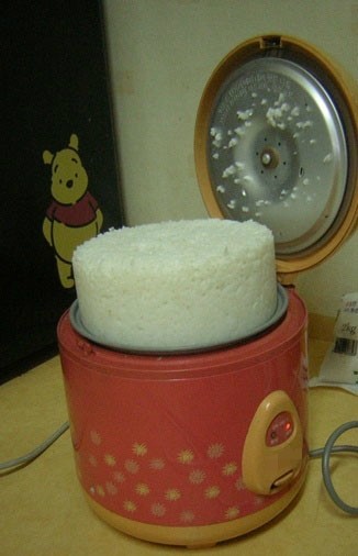 欧米人「今日、炊飯器を買いに行こうと思った…」理由がよくわかる1枚www