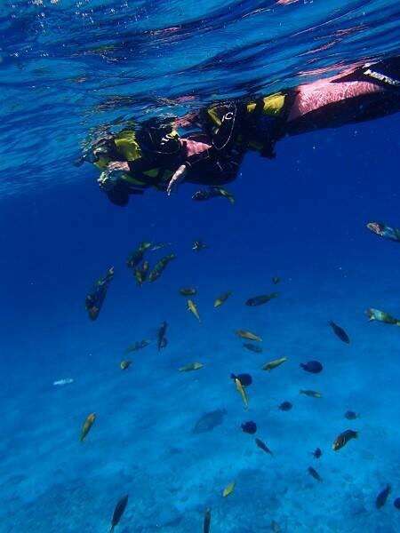 夏が楽しみ！夏のオススメ旅行、過ごし方教えて下さい！