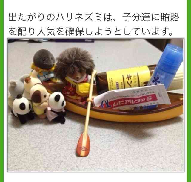 なんということでしょう！匠のお手入れでシルバニアファミリーのお家が大変なことに ガールズちゃんねる