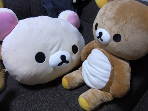 不安や心配が「ぬいぐるみを触る」と軽減されることが明らかに!