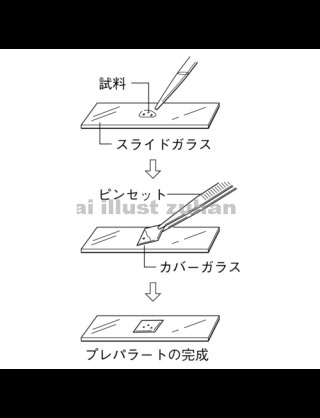 そういえばこういう名前だったね、と言うものを挙げよう