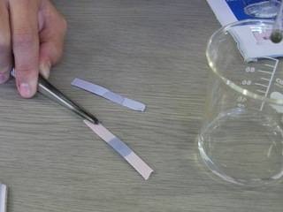そういえばこういう名前だったね、と言うものを挙げよう