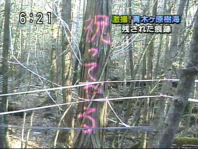 いまだ語り継がれる『世界屈指の呪い』