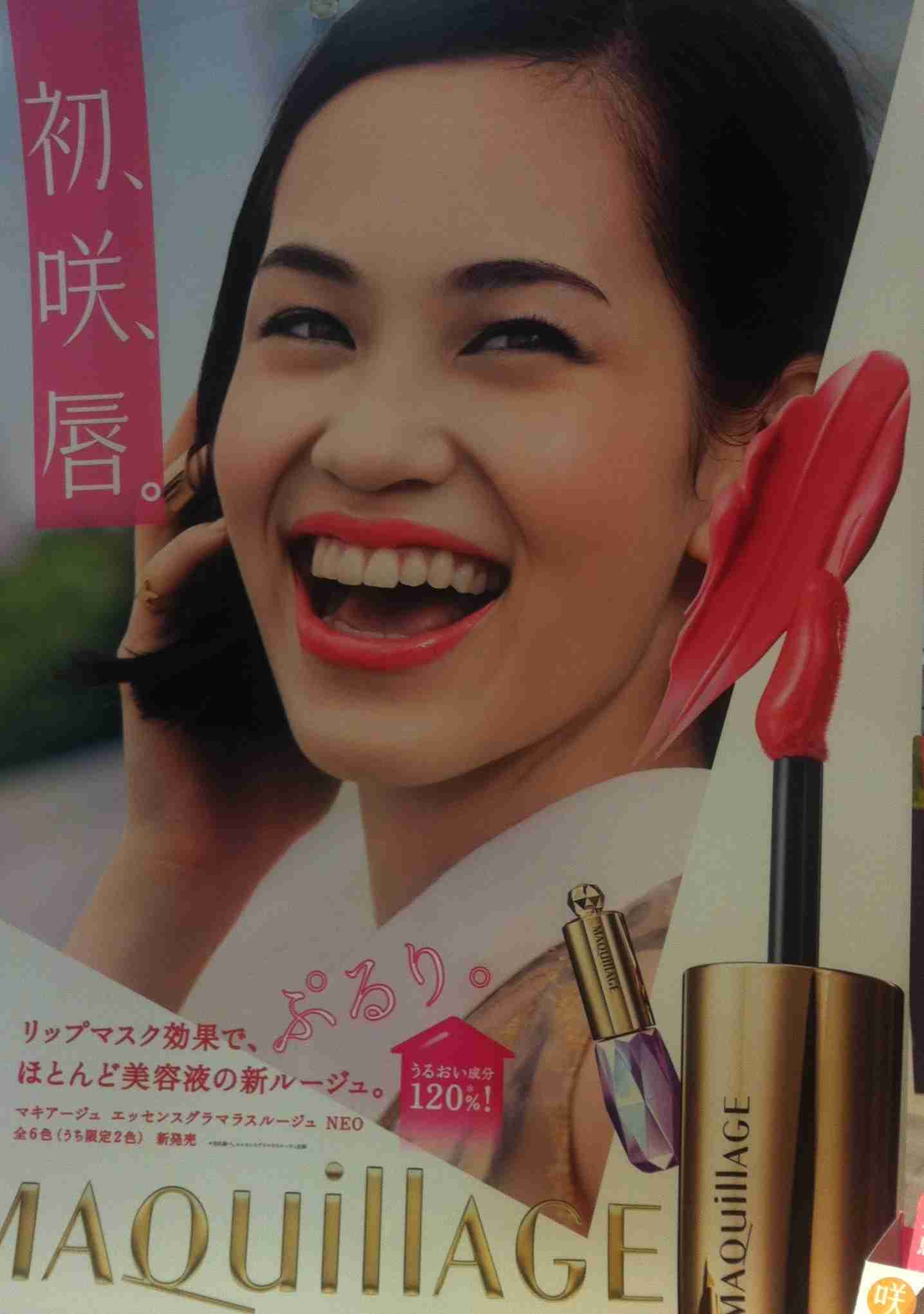 そろそろしつこいと思う事