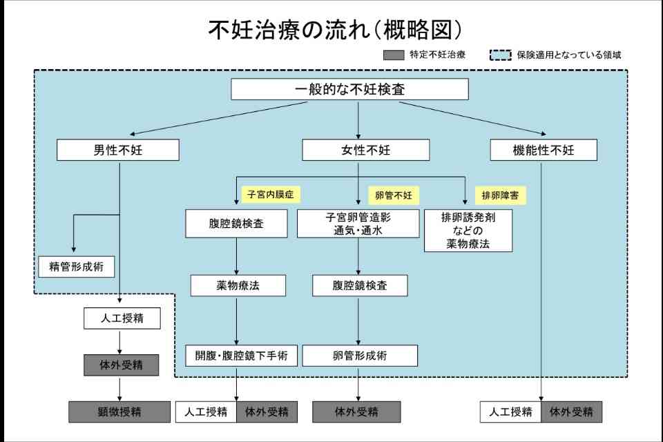 体外受精について語りませんか?