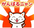 今日頑張ったことは何ですか?
