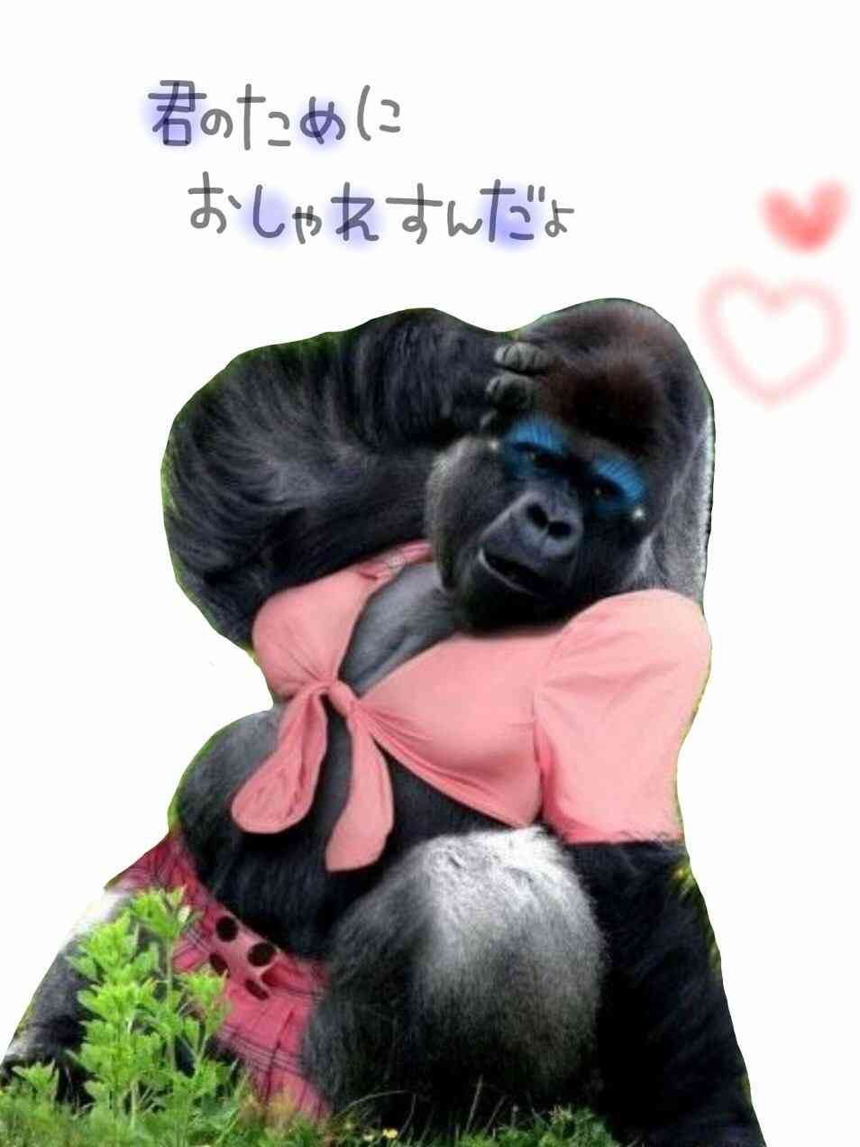 恋がしたくなる画像をどんどん貼っていきましょう!!