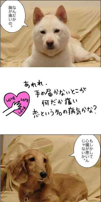 恋がしたくなる画像をどんどん貼っていきましょう!!