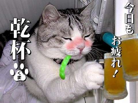 コメントのレスに使える画像貼っていきませんか?♡