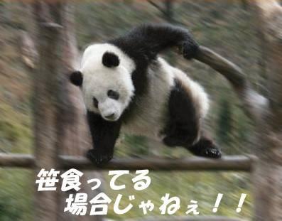 コメントのレスに使える画像貼っていきませんか?♡