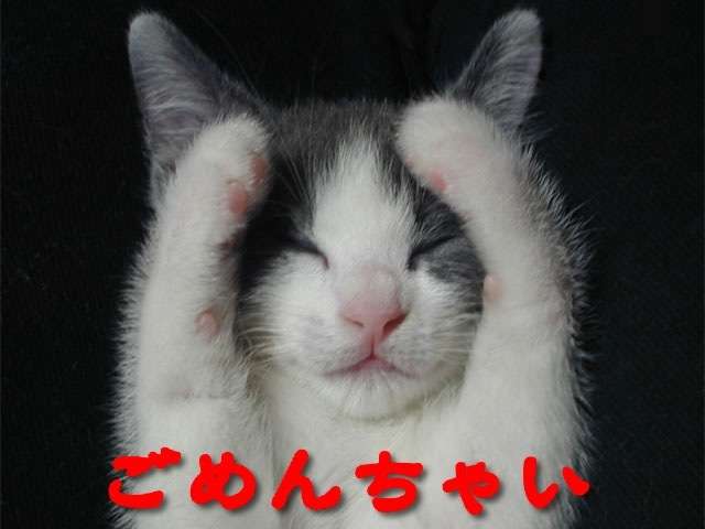 コメントのレスに使える画像貼っていきませんか?♡