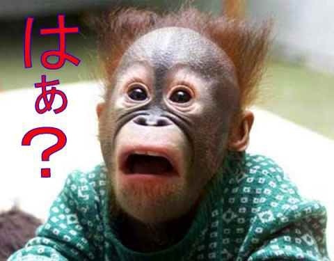 コメントのレスに使える画像貼っていきませんか?♡