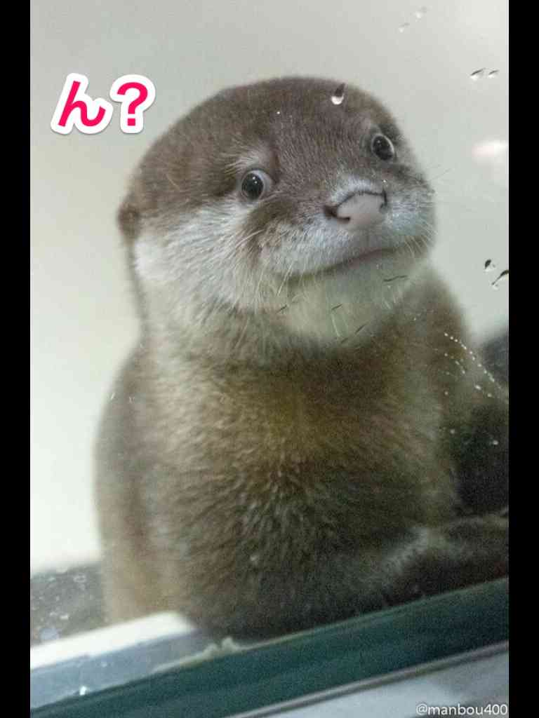 コメントのレスに使える画像貼っていきませんか?♡